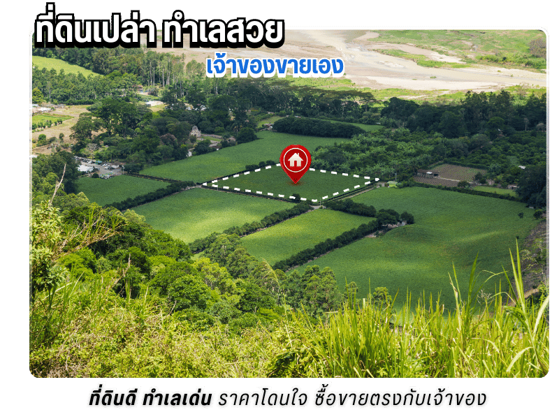 ขายที่ดินเปล่าเจ้าของขายเอง